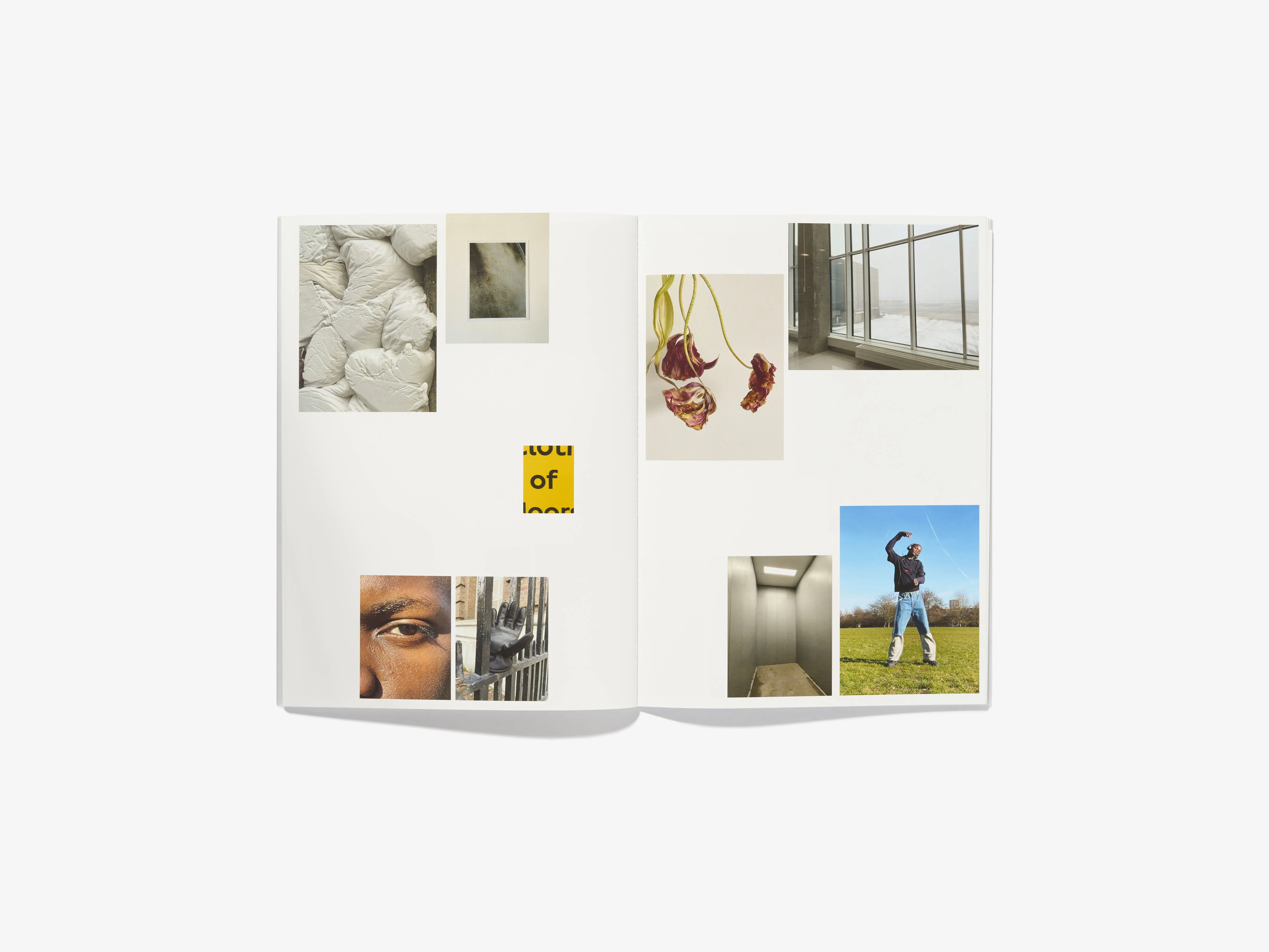 N°26 - ALESSIO BOLZONI - Image 5