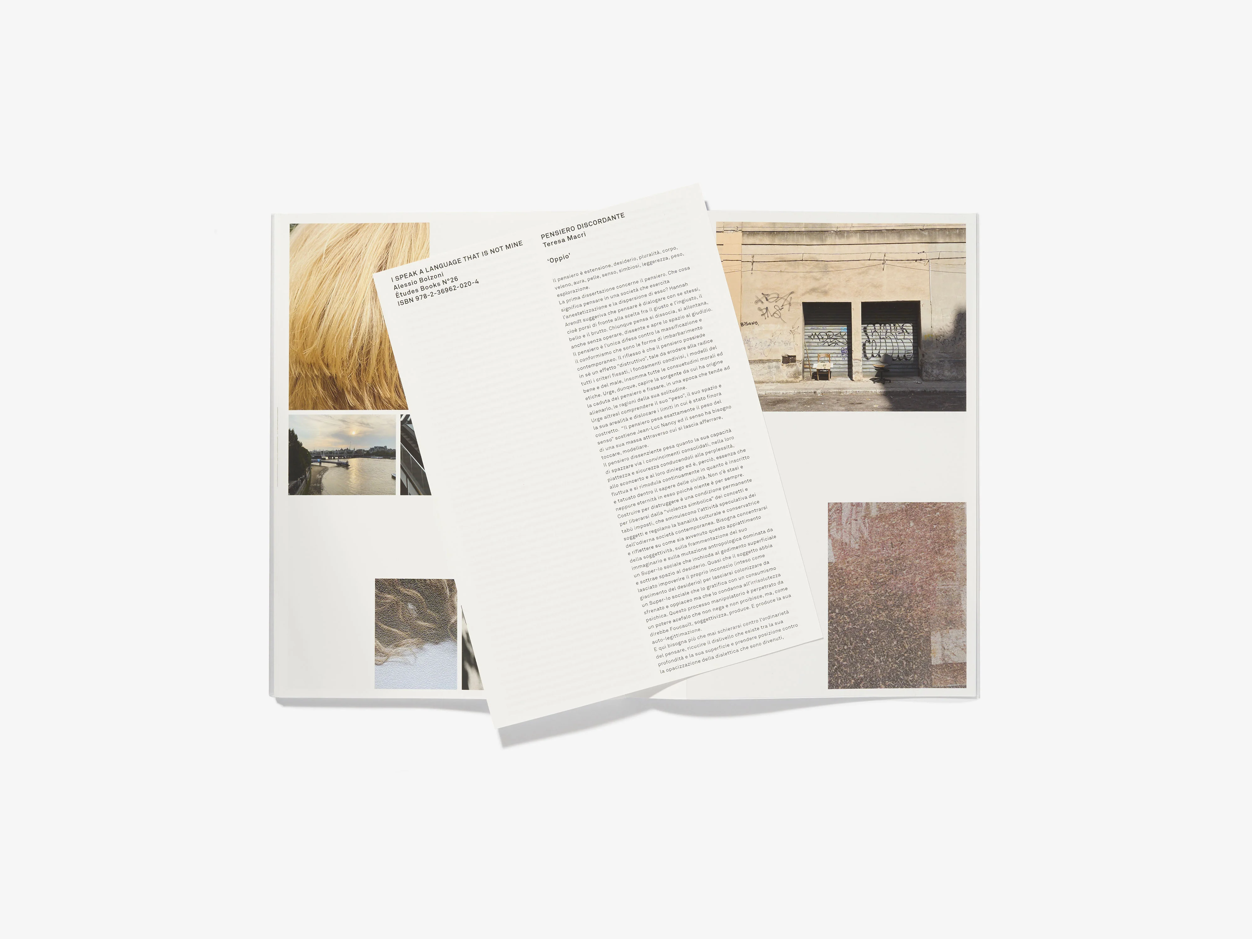 N°26 - ALESSIO BOLZONI - Image 6