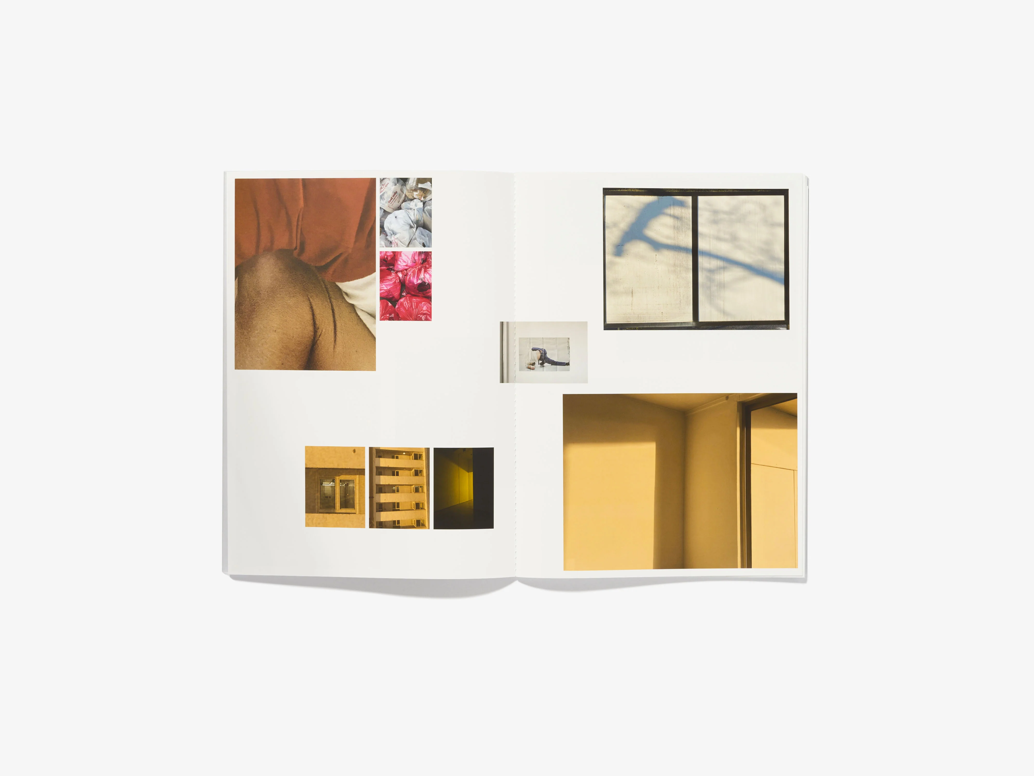 N°26 - ALESSIO BOLZONI - Image 8