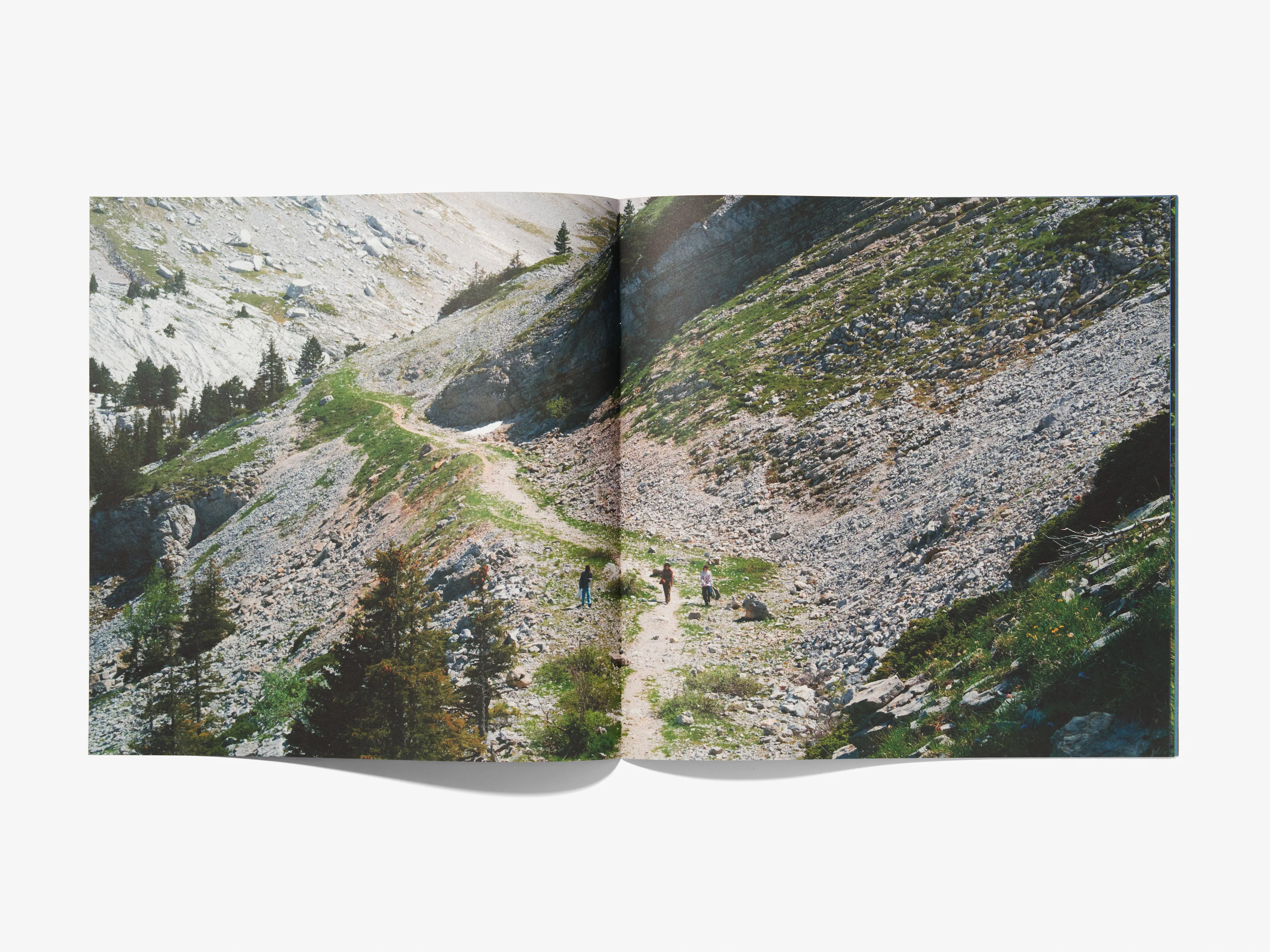TWENTY - Image 3