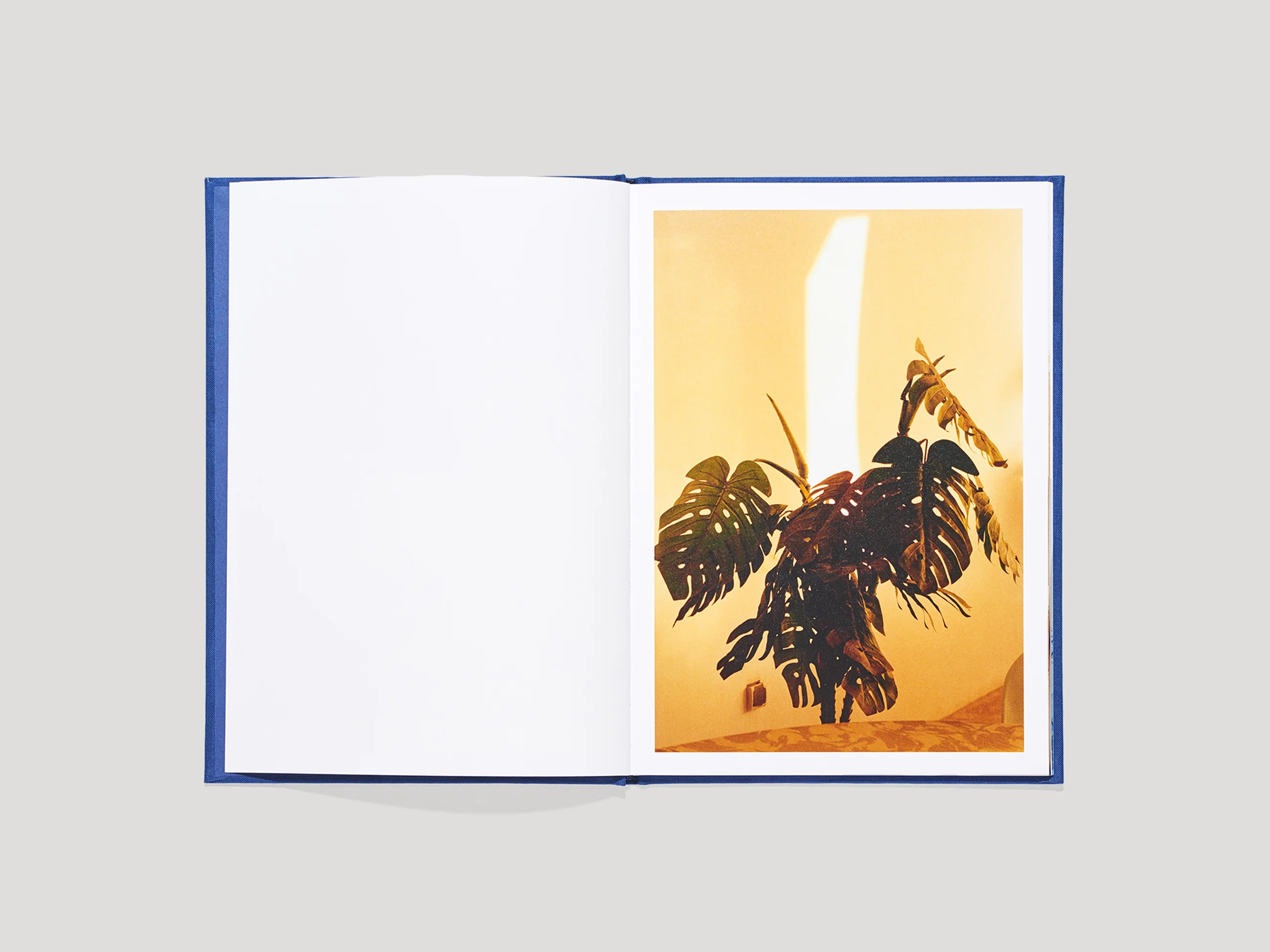N°18 - Henry Roy - Image 7