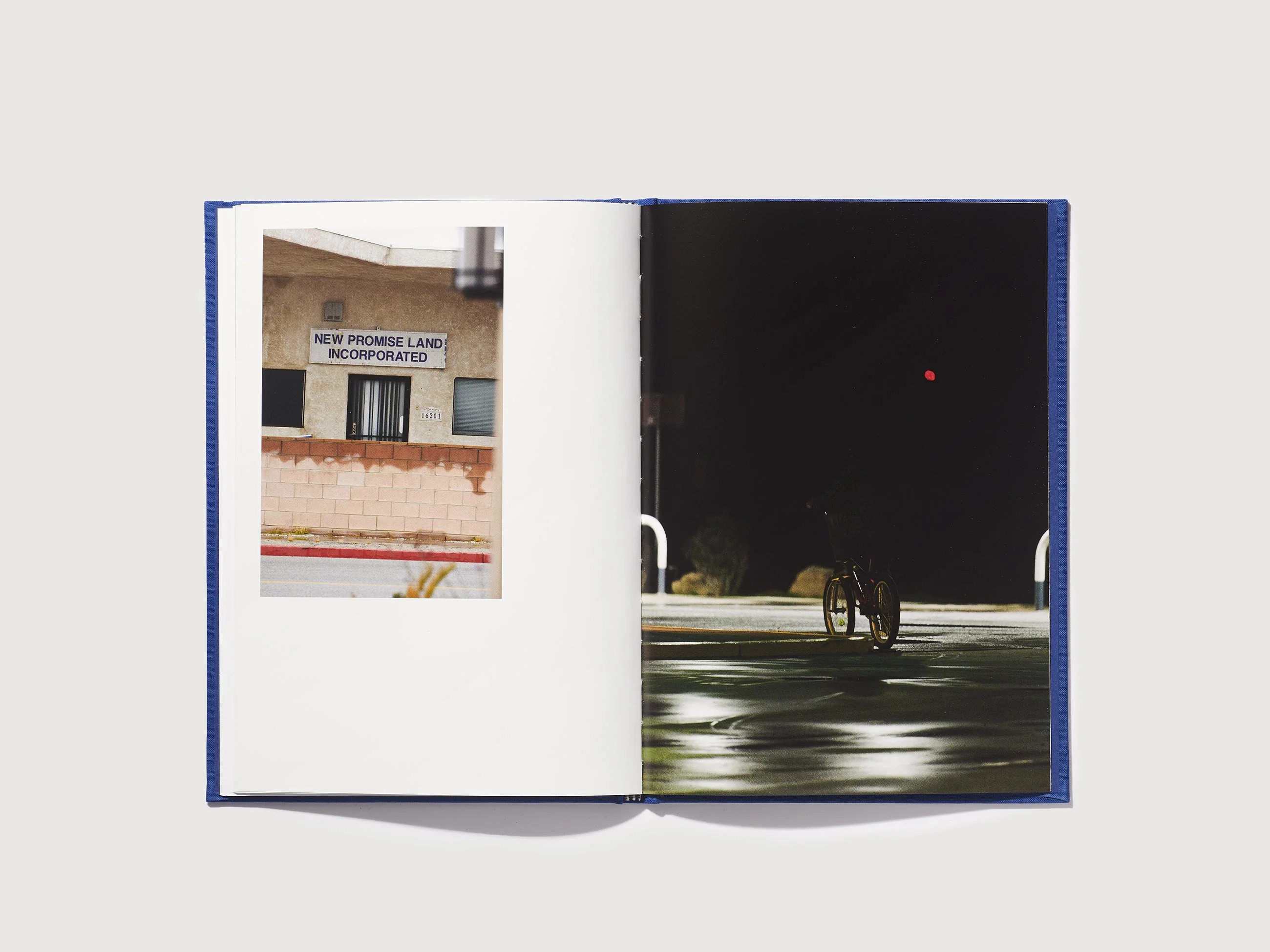 N°20 - Peter Sutherland - Image 8