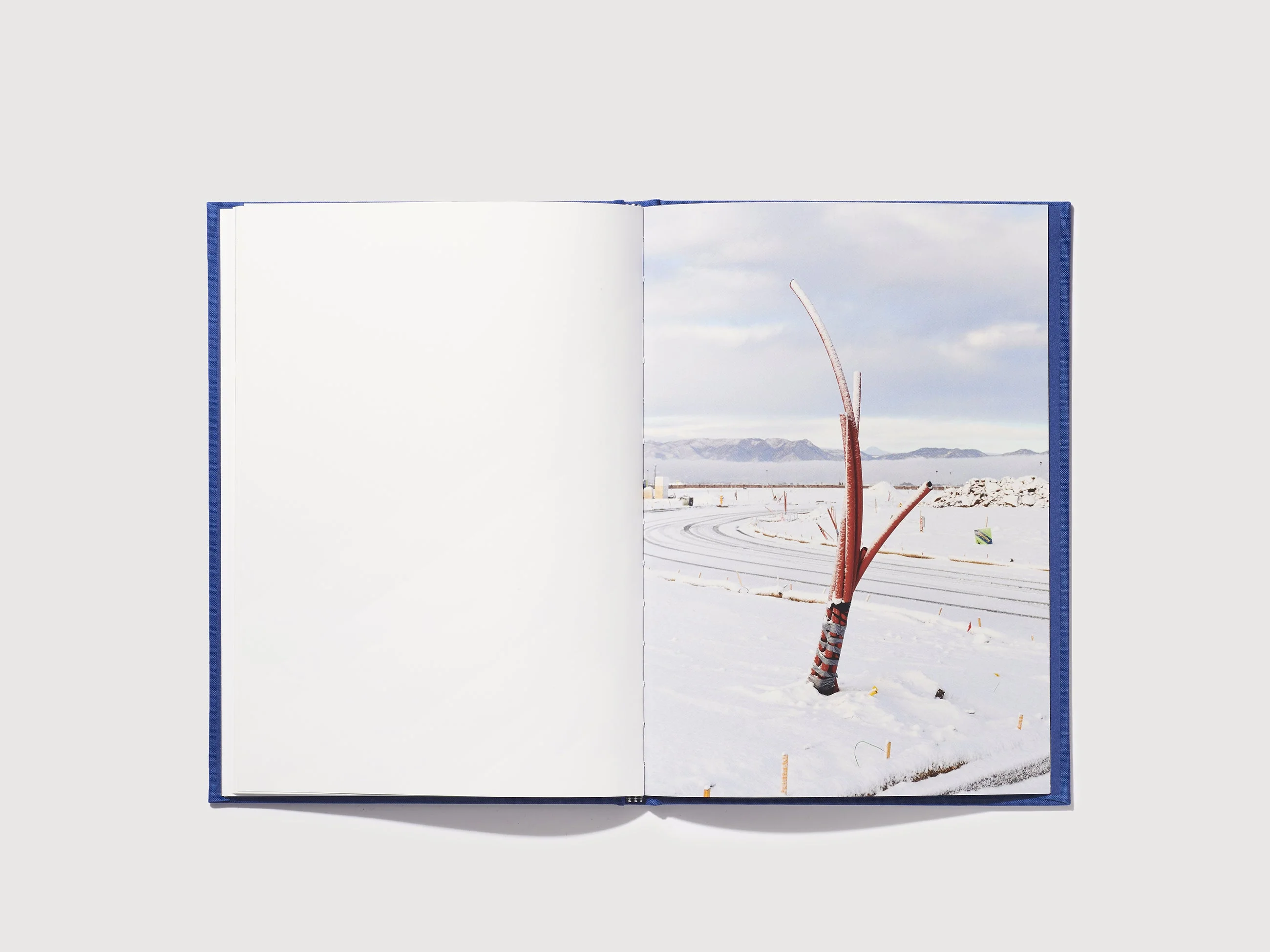 N°20 - Peter Sutherland - Image 9