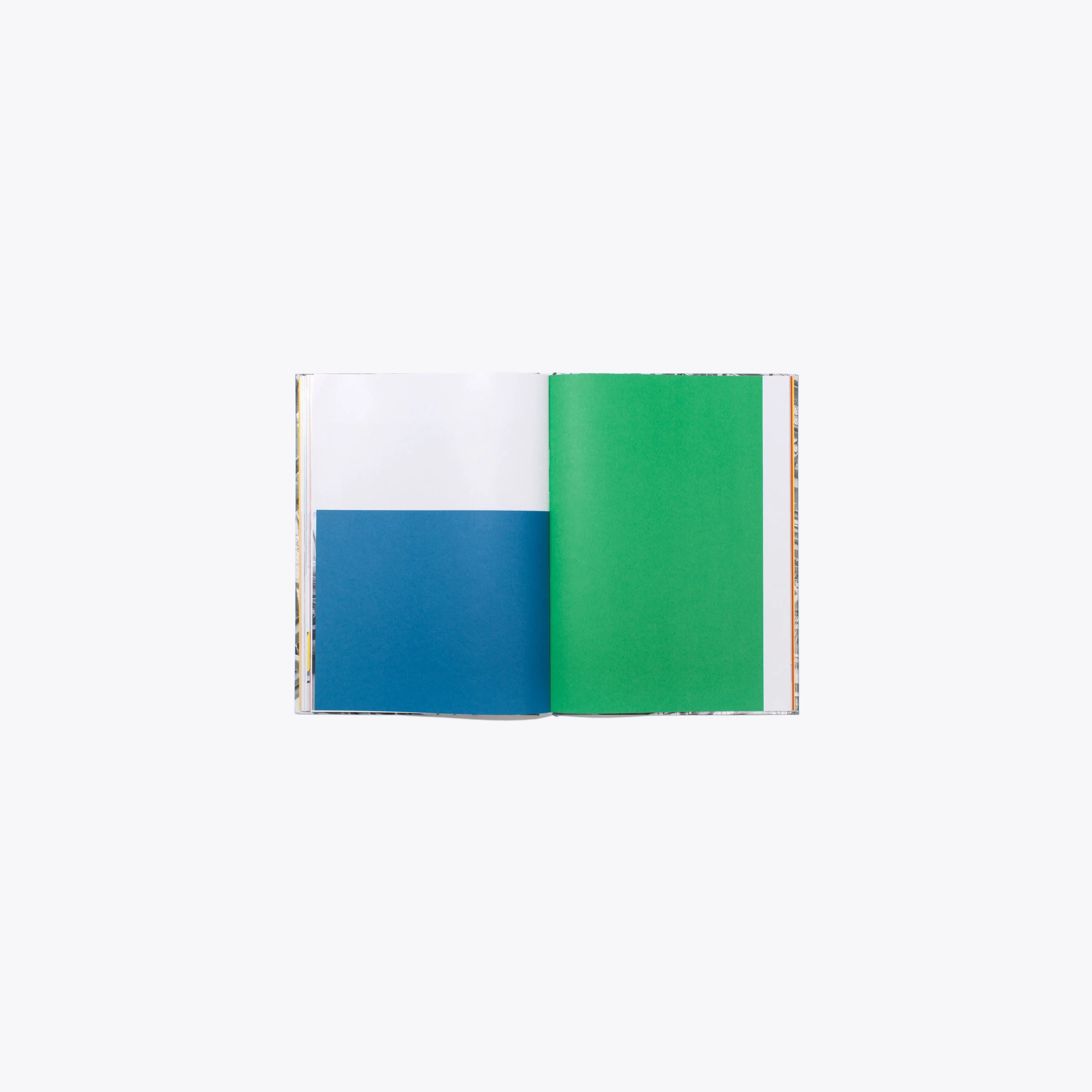 N°15 - Daniel Everett - Image 8