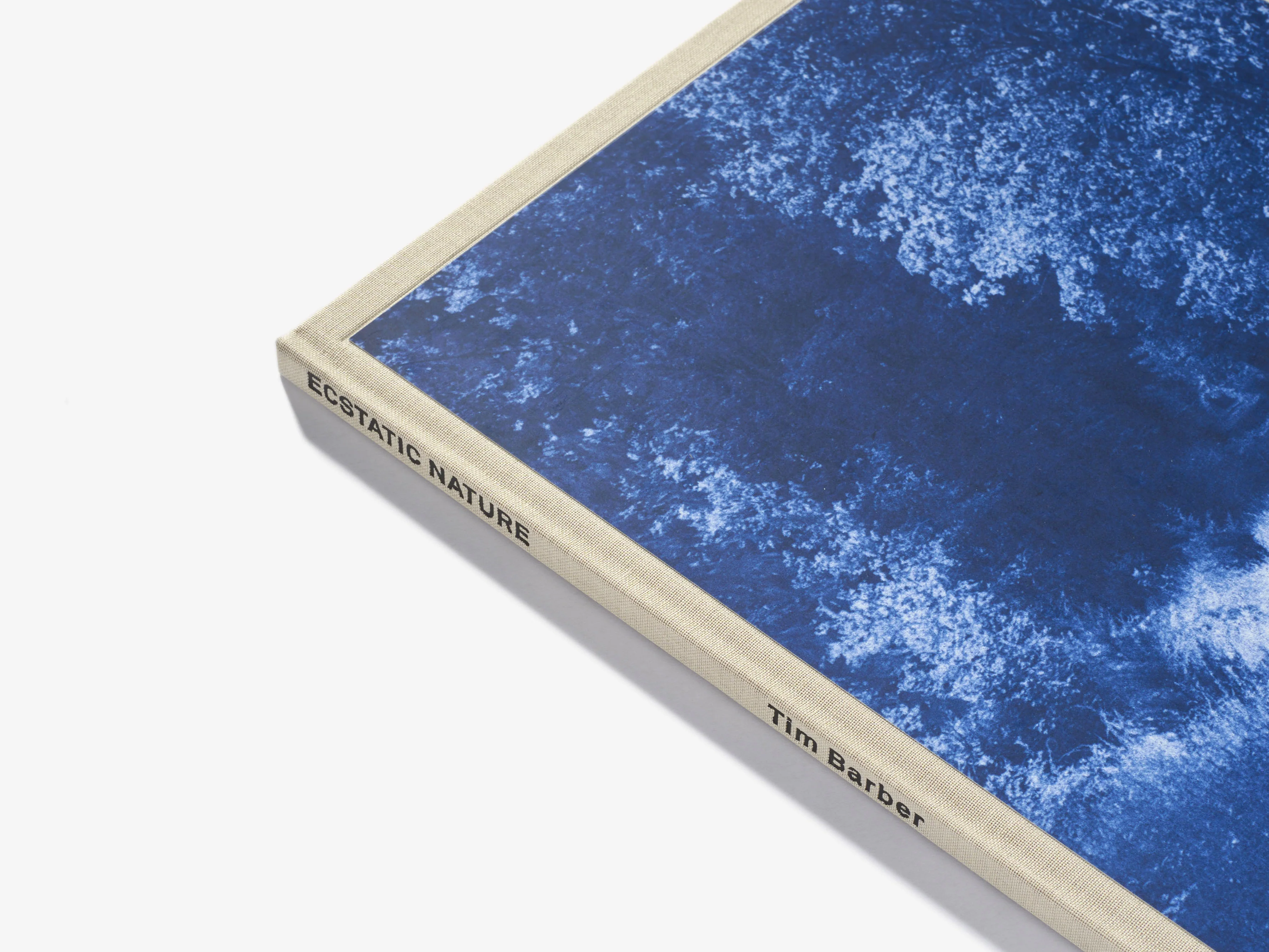 N°25 - Tim Barber - Image 3