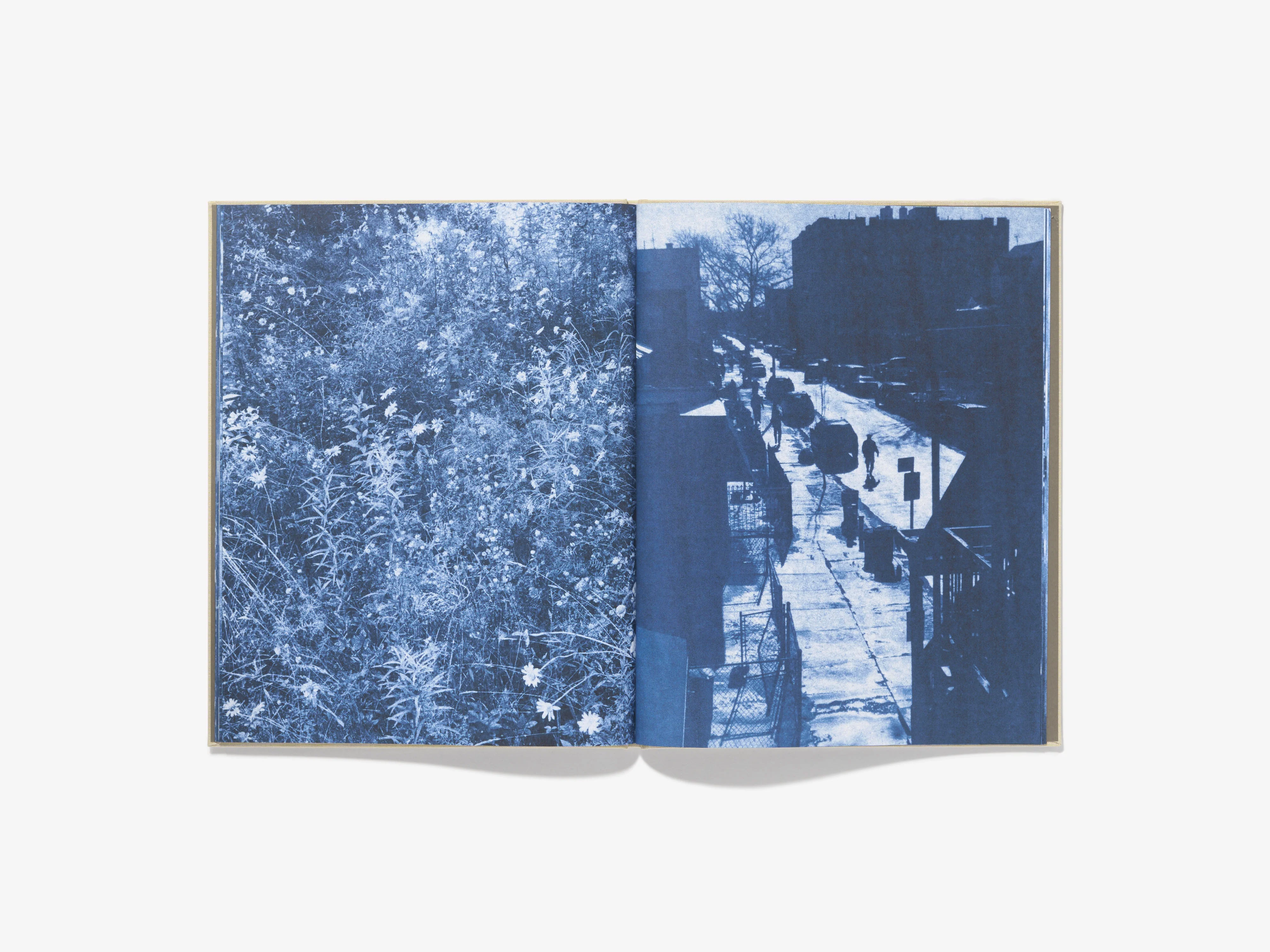 N°25 - Tim Barber - Image 6